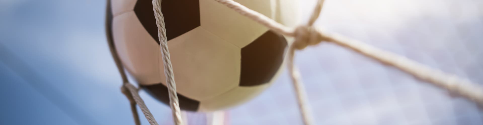 プライバシーポリシー